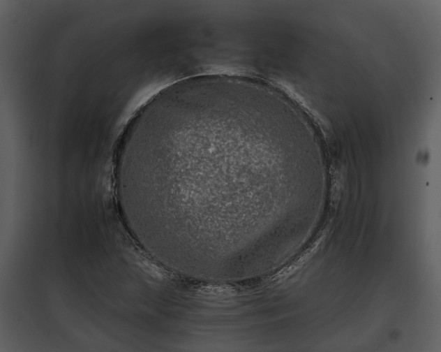 X0000095671215200801151056