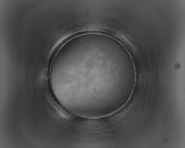 X0000095671216200801151056