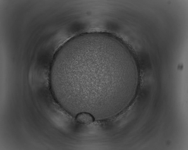 X0000095671217200801151056