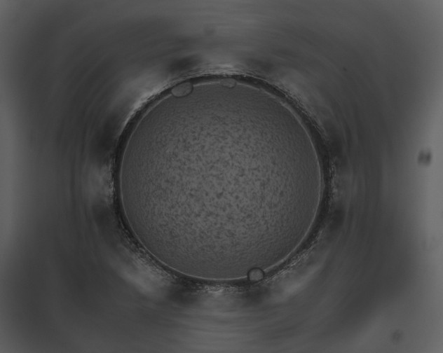 X0000095671218200801151056