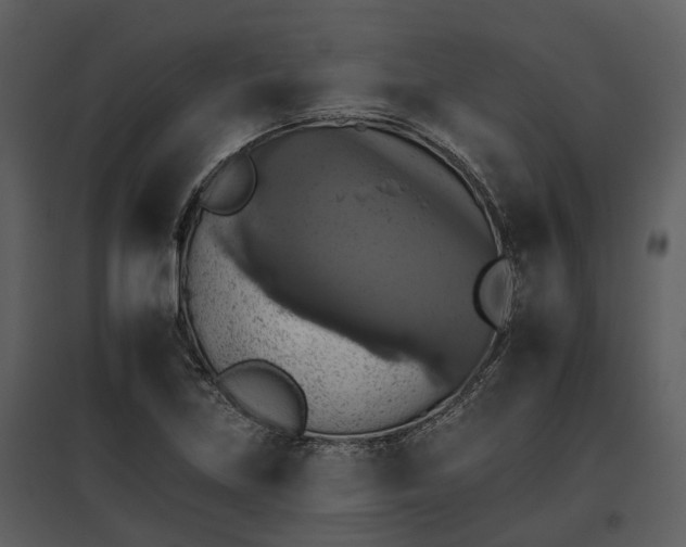 X0000095671219200801151056