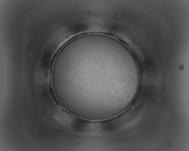 X0000095671220200801151056