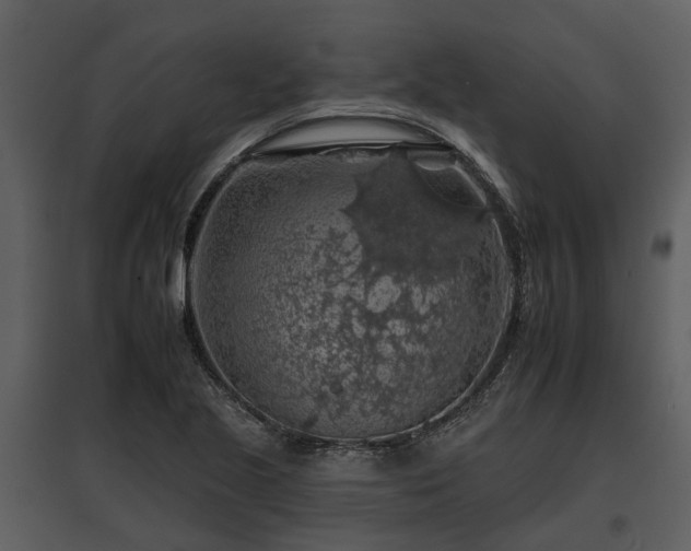 X0000095671221200801151056