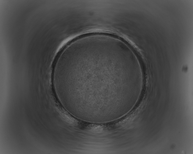 X0000095671222200801151056