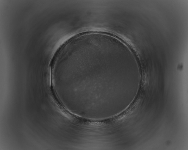 X0000095671223200801151056