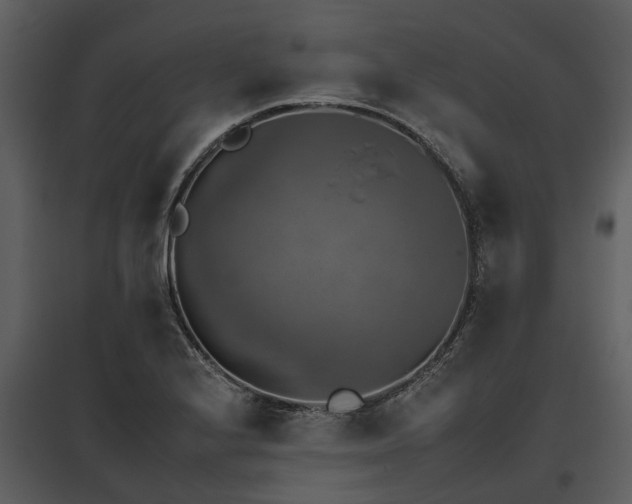 X0000095671224200801151056