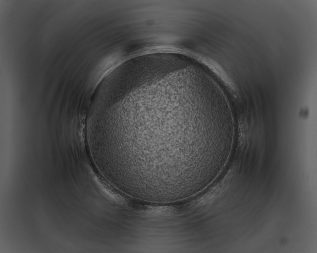 X0000095671225200801151056