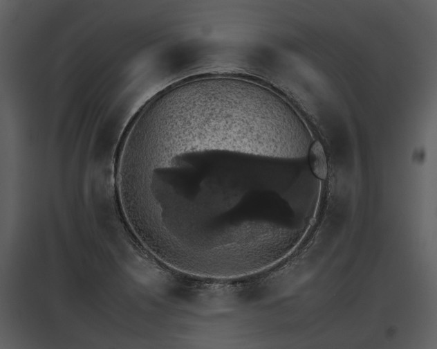 X0000095671226200801151056