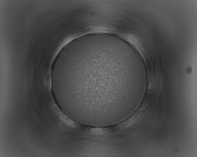 X0000095671227200801151056