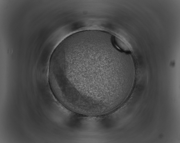 X0000095671228200801151056