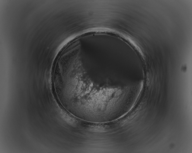 X0000095671229200801151056