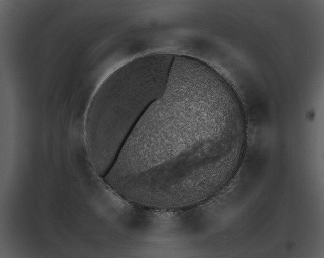 X0000095671230200801151056