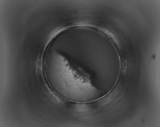 X0000095671231200801151056