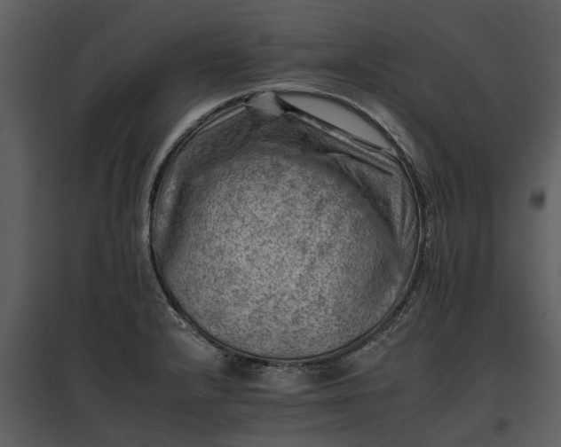 X0000095671232200801151056