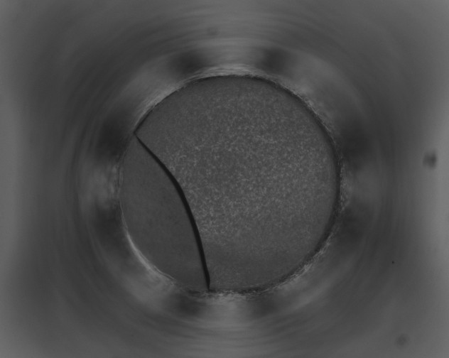 X0000095671233200801151056