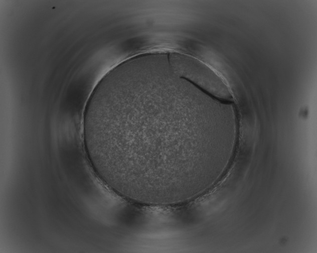 X0000095671234200801151056