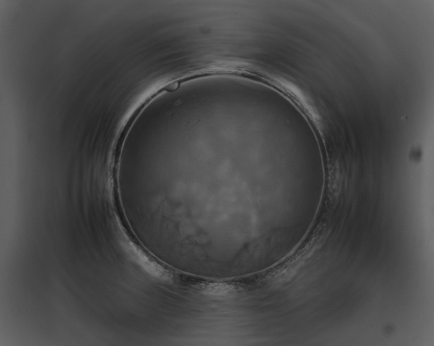 X0000095671235200801151056