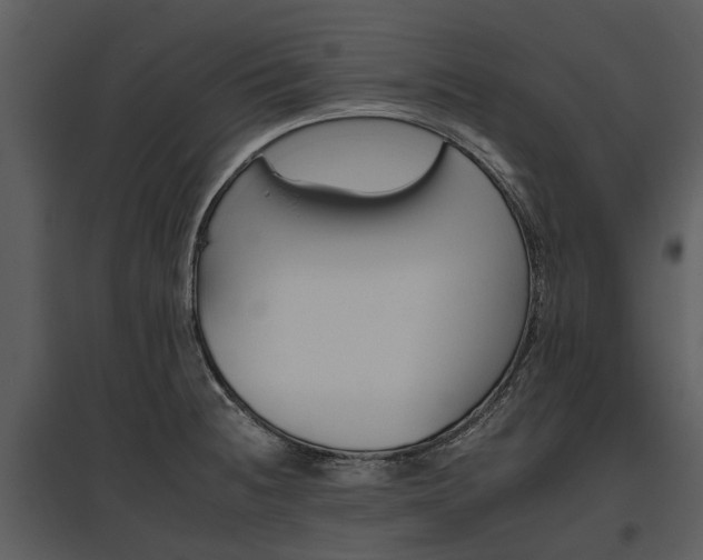 X0000095671236200801151056