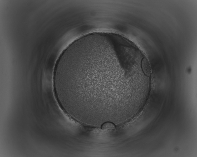 X0000095671237200801151056