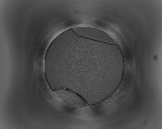 X0000095671238200801151056