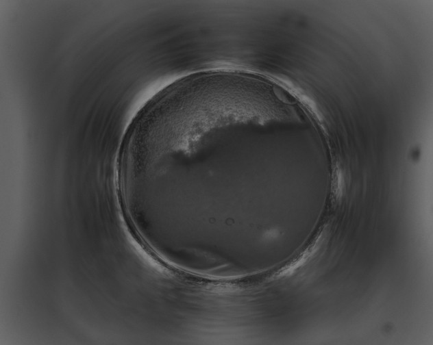 X0000095671239200801151056