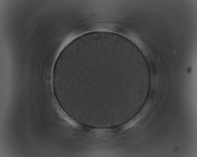 X0000095671240200801151056