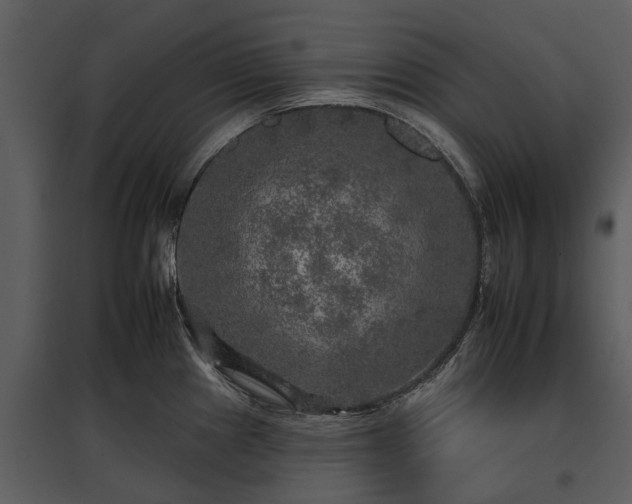 X0000095671241200801151057