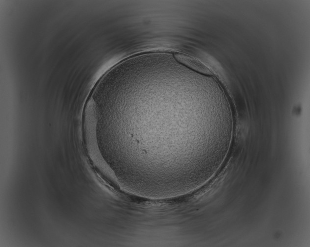 X0000095671242200801151057