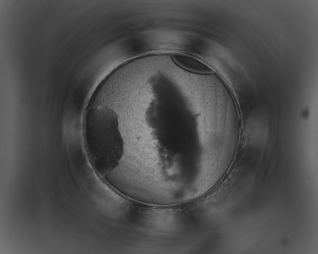 X0000095671243200801151057