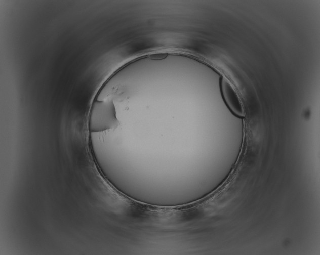 X0000095671244200801151057