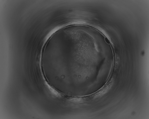 X0000095671245200801151057