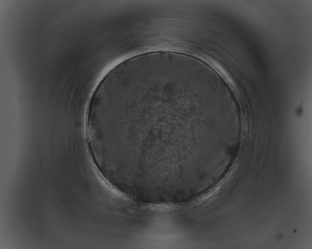 X0000095671246200801151057