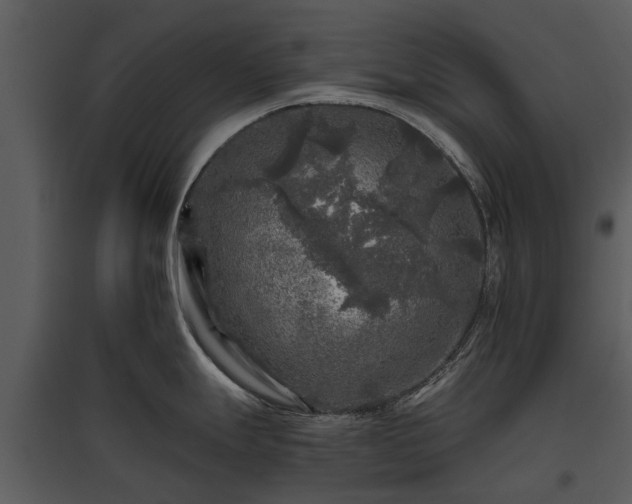 X0000095671247200801151057