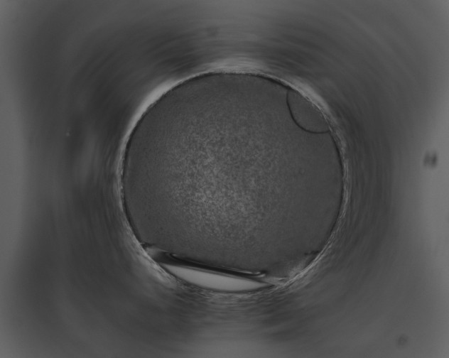 X0000095671248200801151057