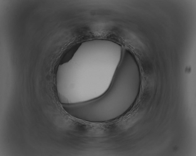 X0000095671249200801151056