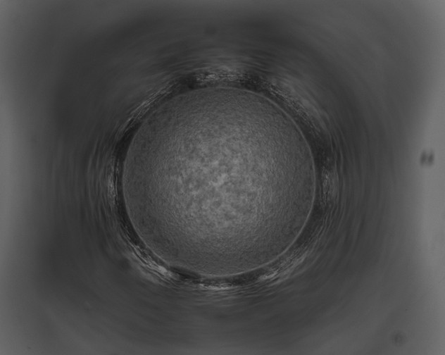 X0000095671250200801151056