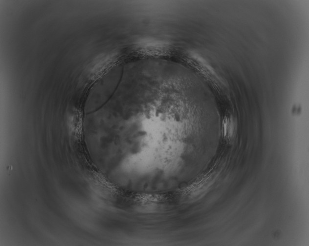 X0000095671251200801151056