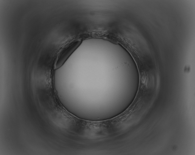 X0000095671252200801151056