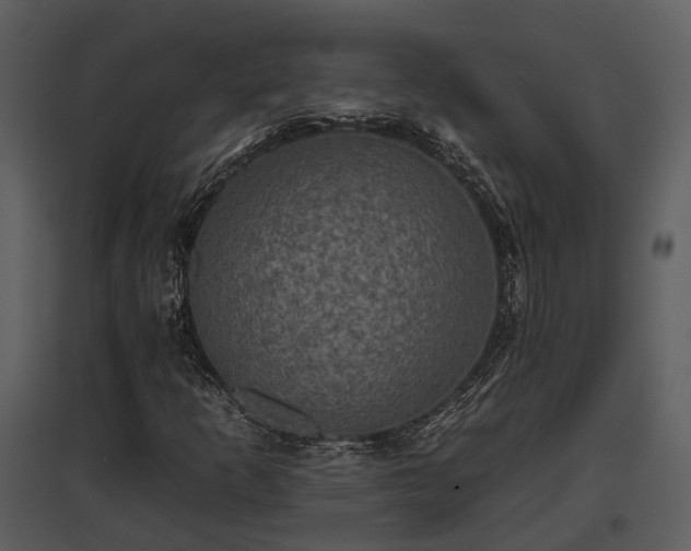 X0000095671253200801151056