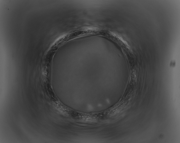 X0000095671254200801151056