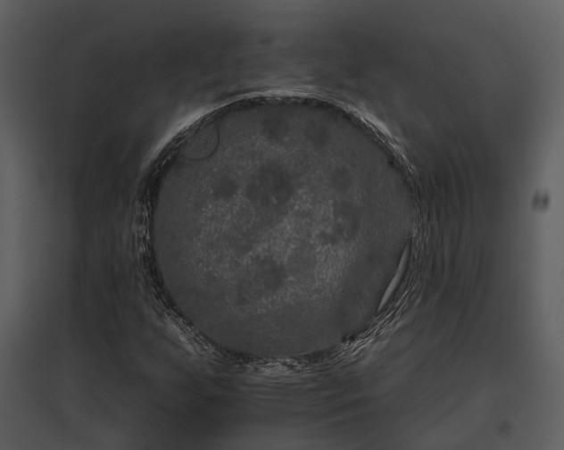 X0000095671255200801151056