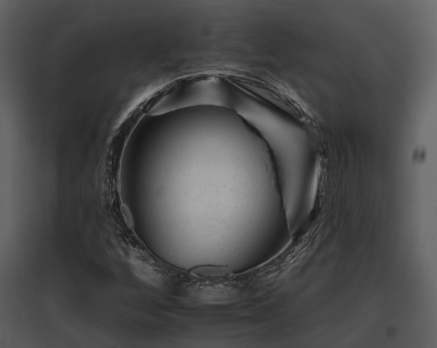 X0000095671256200801151056