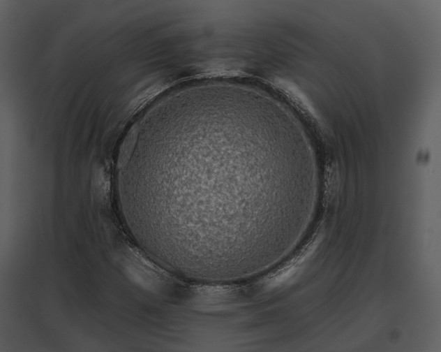 X0000095671257200801151056