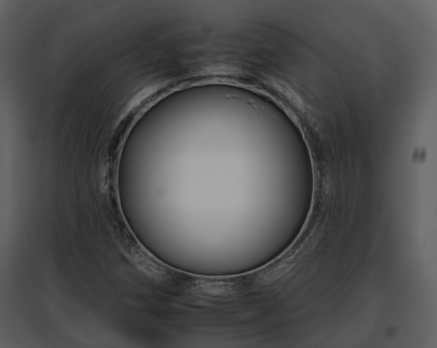 X0000095671258200801151056