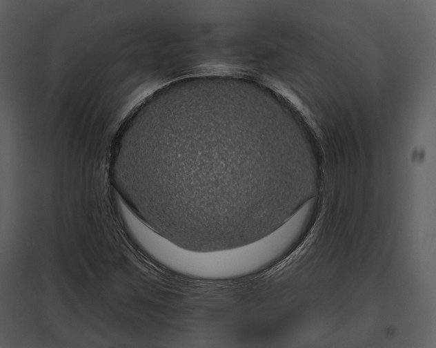 X0000095671259200801151056