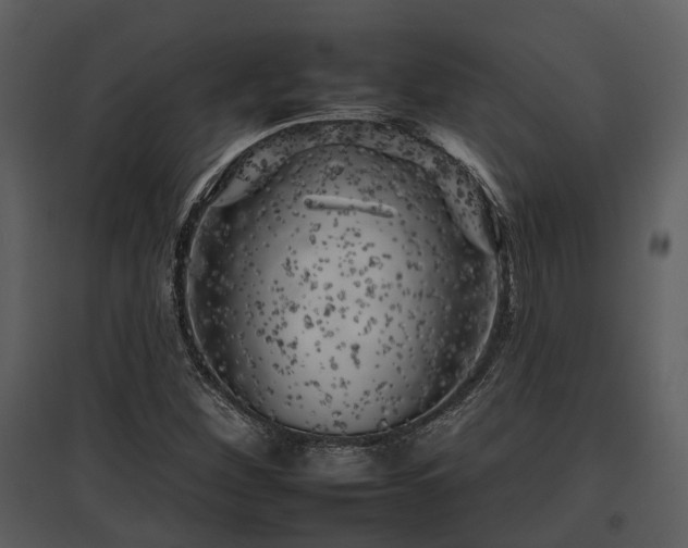 X0000095671260200801151056