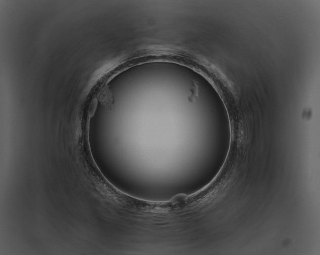 X0000095671261200801151056