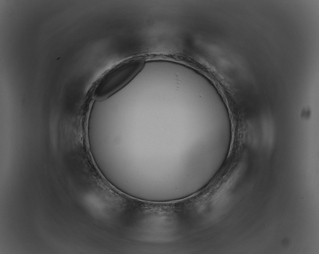 X0000095671262200801151056