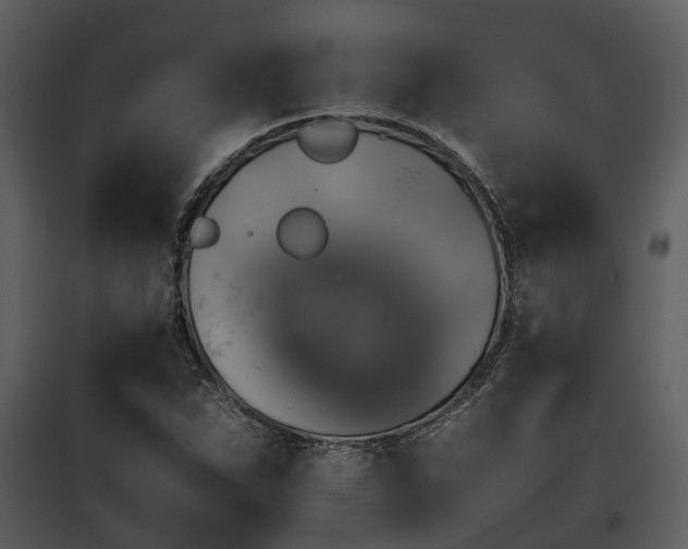 X0000095671263200801151056