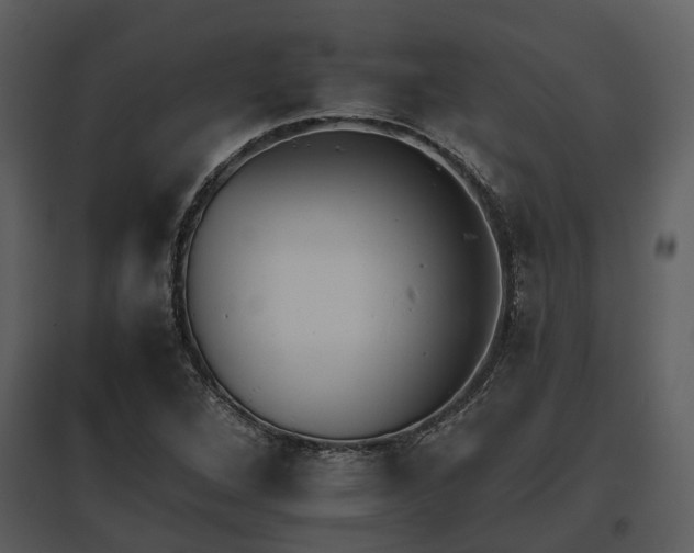 X0000095671264200801151056